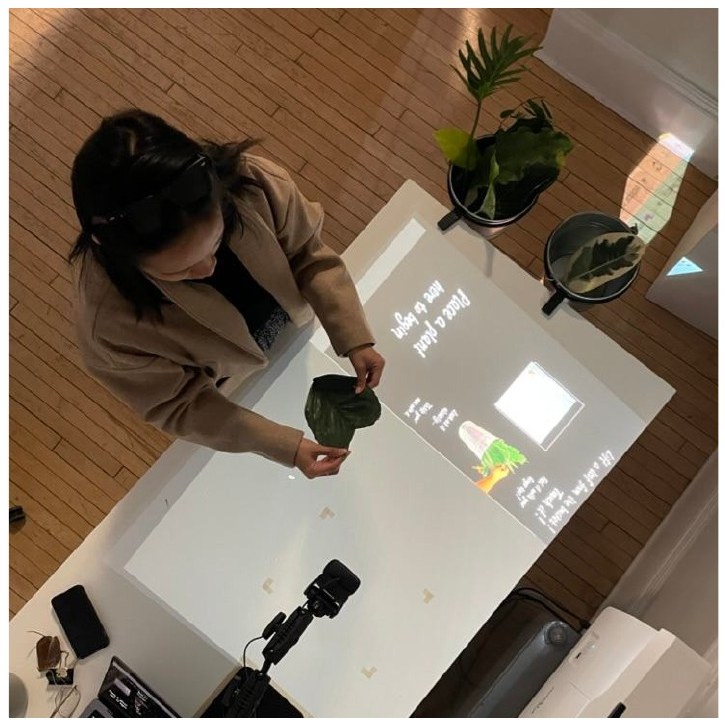 A visitor placing a leaf on the projected smart table at Phipps Conservatory