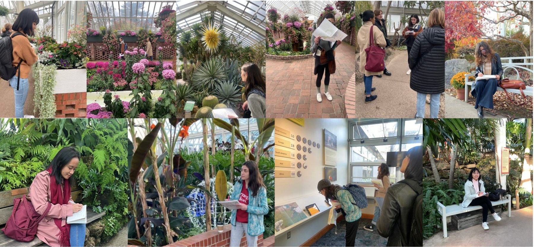 A collage of photos from fieldwork at Phipps: visitors walking through the greenhouses, taking notes and looking at exhibits